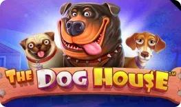 Morospin – The Dog House
